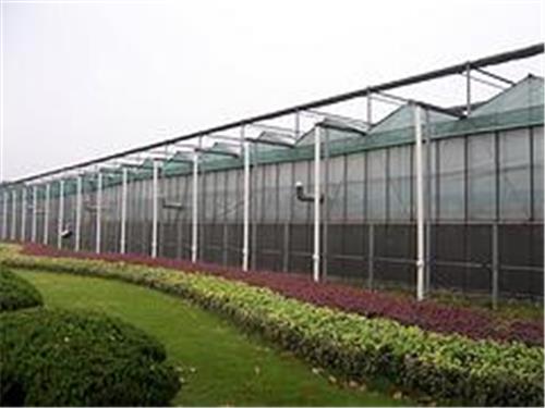 玻璃温室大棚建造 山东可信赖的玻璃温室大棚