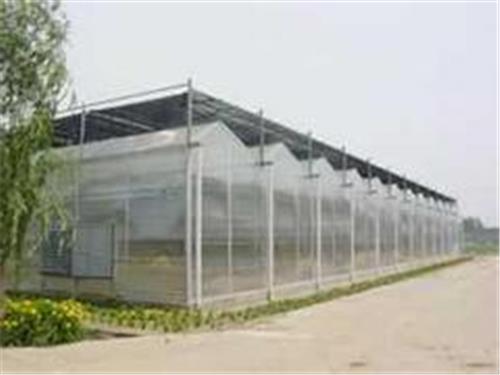 潍坊提供优质的智能连栋温室建造_连栋温室建造