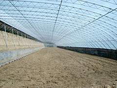 供应新型温室大棚|阳光板温室骨架/大棚温室配件供应商，轩农