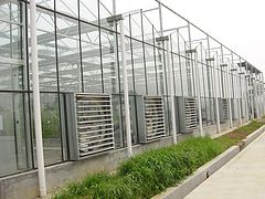 【荐】{yl}的蔬菜温室大棚——建造菜菌一体温室大棚