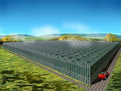 有口碑的蔬菜温室大棚首要选择轩农温室园艺_蔬菜温室大棚建设