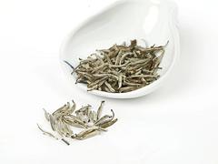 福州哪里有划算的茉莉花茶针王供应，优惠的茉莉花茶