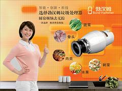 品质{yl}的勃汉姆食物垃圾处理器鼎荣电器供应——上等厨房食物垃圾处理器