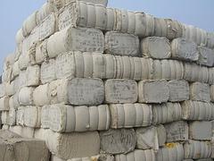 潍坊yz的新疆棉花上哪买|大量供应新疆棉花
