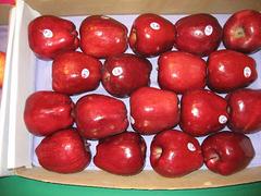 柳州哪里有优惠的苹果供应：苹果草莓柠檬荔枝代理加盟