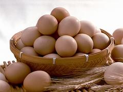 有机鸡蛋批发代理 物超所值的有机鸡蛋海尊公司供应