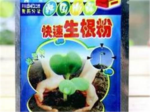 供应生根剂：郑州口碑好的生根粉供应商推荐