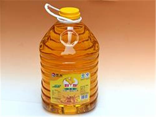 潍坊地区哪里有卖优惠的20L压榨一级花生油——专业高品质花生油