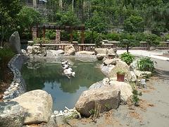 别墅庭院景观设计图 想要购买口碑好的【杭州】私家庭院景观设计找哪家