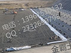 中国土工膜：划算的糙面土工膜就在金霸环境技术公司