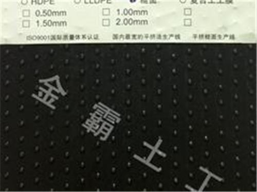 防渗膜中国HDPE土工膜——质量硬的HDPE糙面土工膜无锡供应