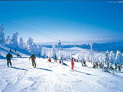 提供{yl}的爱情山滑雪场——保定滑雪场