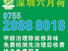 深圳六月荷-具有口碑的办公室空气治理服务提供商 办公室空气治理咨询热线