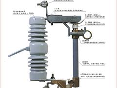 耐用的跌落式熔断器温州口碑好的公司供应|滁州跌落式熔断器