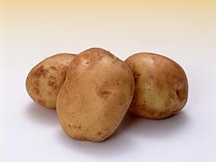许昌超值的土豆批发供应 许昌绿色蔬菜