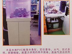 买品质{zy1}的PVC板海水鱼缸，就到水蓝玻璃制品|许昌水蓝玻璃制品