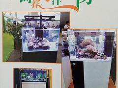 哪儿能买到质量好的海洋生物鱼缸 海洋生物鱼缸价格范围