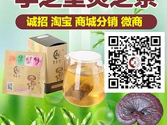 哪里有批发李芝堂灵芝：优惠的保健茶