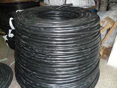 扬州规模大的天正电缆厂家推荐 优质电缆代理商