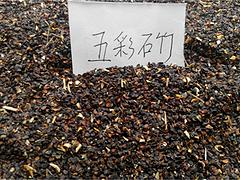 供应山东物超所值的蛇莓种子 蛇莓种子批发商