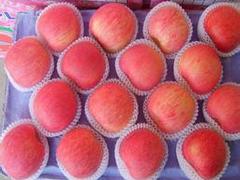 烟台红富士苹果批发，物超所值的烟台红富士苹果，兴发食品供应