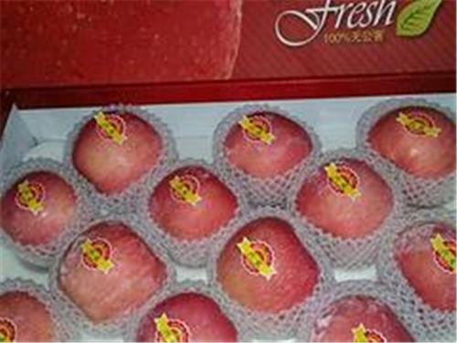 采购优质的烟台红富士苹果就找兴发食品 黑龙江红富士