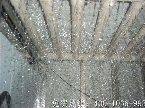 【速来{qg}】青州全自动不锈钢豆芽机（新绿）的棒棒哒！