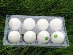 知名的吸塑鸡蛋托产品信息  ：吸塑鸡蛋托低价批发