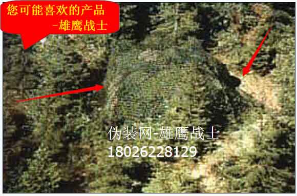 广东惠州伪装网防航拍丛林迷彩伪装网长期生产批发