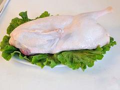 健康的冰鲜鸭——划算的冰鲜鸭亿宝园食品供应