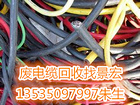 广州超值的废电缆回收推荐