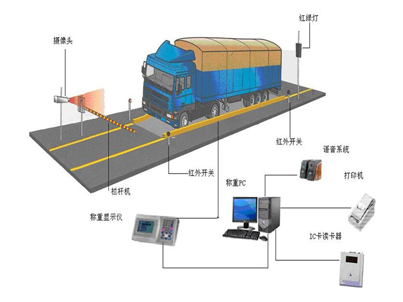 永恒衡器厂供应全省品质好的电子秤台秤_肇庆电子称