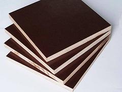 昌乐木胶板生产厂家——【供销】山东价格合理的36尺木胶板