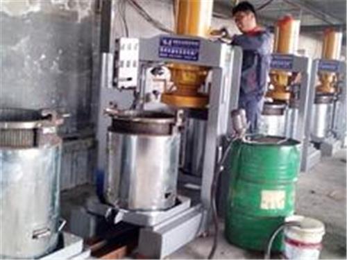 潍坊xxx高的芝麻榨油机出售：青州芝麻榨油机