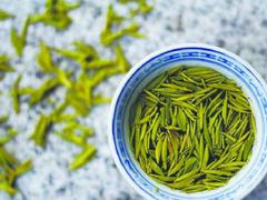黄山市徽顶箬业有限公司高山绿茶代理 抢手的高山绿茶出售
