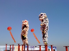 成都{yl}的舞狮表演哪里有：天津攀枝花商店开业舞狮
