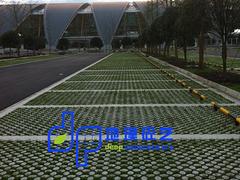 地璞建筑科技公司知名的沥青面压印涂装地坪销售商——中国混泥土生态植草地坪