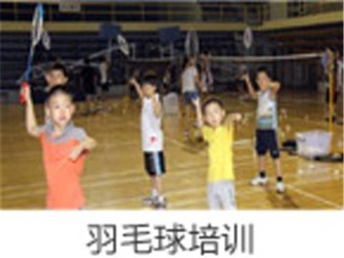 浦东新区羽毛球训练——想找正规的羽毛球培训就来拼搏体育