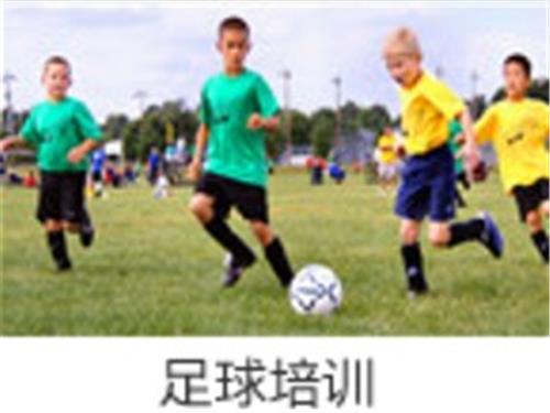 上海市优质的足球培训 ：{yl}的足球培训，足球俱乐部，足球教练，足球训练班