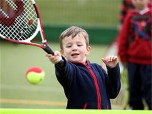 拼搏体育专门为客户提供{yl}的网球班_{yl}的网球培训
