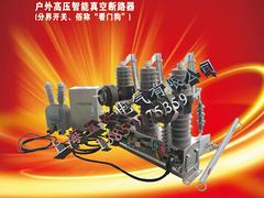 好的ZW58户外高压分界断路器在上海哪儿可以买到 专业的断路器厂家