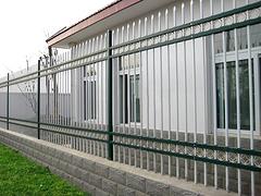 供应专业的围墙护栏——高速围墙护栏