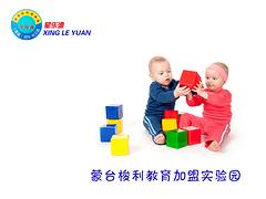 广东专业的幼儿园|本地的湛江市幼儿园