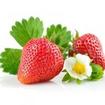 绿鑫盛达-知名的有机水果厂家，水果礼品卡专采购低价出售