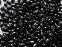 买质量好的黑色母粒，武威大和塑业是您优先的选择  ：平凉黑色母粒厂家