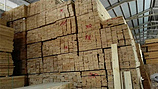 珠海桉木规格材厂，大量出售耐用的桉木规格材