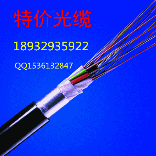 西安市销售4芯光缆 西安市销售层绞式光缆 西安市销售单模光缆