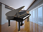 江苏电钢琴厂家——什么样的电钢琴才是具有口碑的电钢琴
