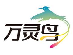 广州演艺资源 万灵鸟信息技术公司供应优质演艺资源网