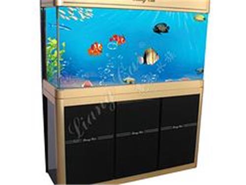 代理玻璃鱼缸_广东独创新颖的1.2米鱼缸供应